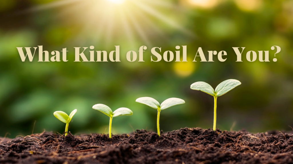 What Kind of Soil Are You?  Intersect Service