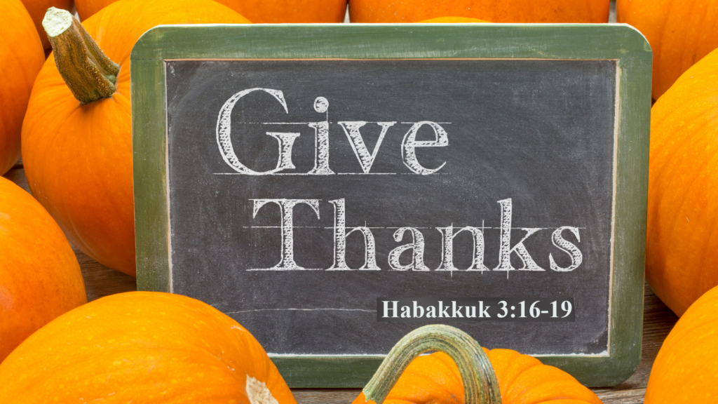 Give Thanks – Intersect Service