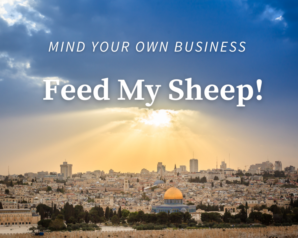 Feed My Sheep! – Intersect Service